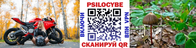Псилоцибиновые грибы Magic Shrooms Липецк